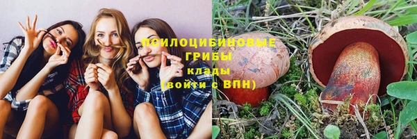 mix Горняк